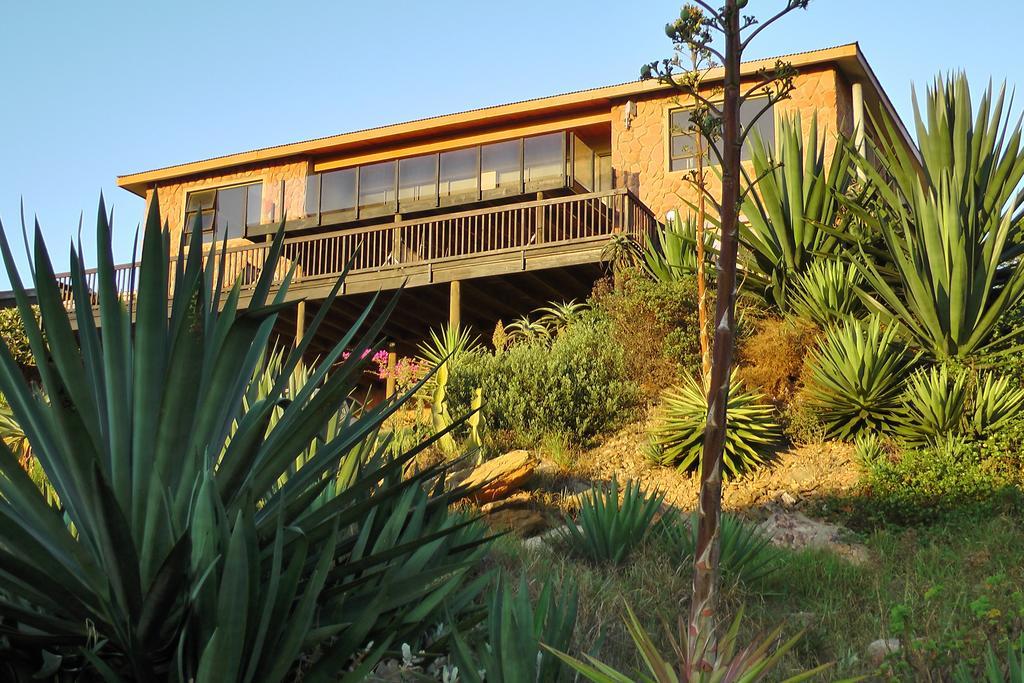 فيلا Starfish Surf House خليج جيفري الغرفة الصورة